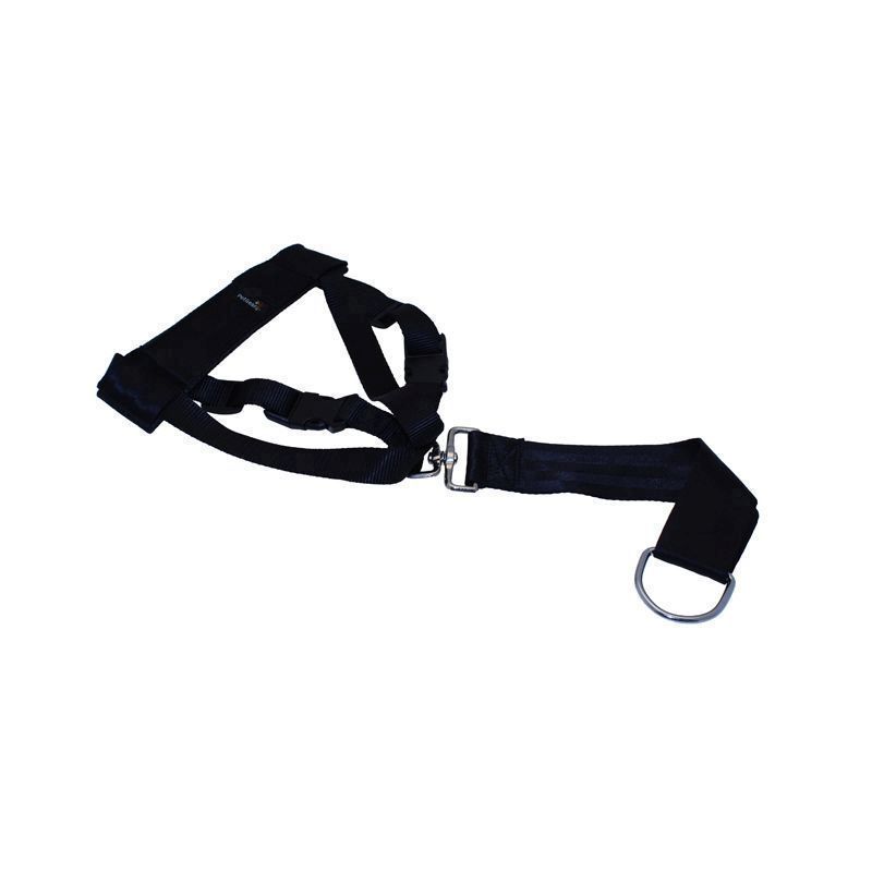 Pet Gear Dog Harness Jumbo